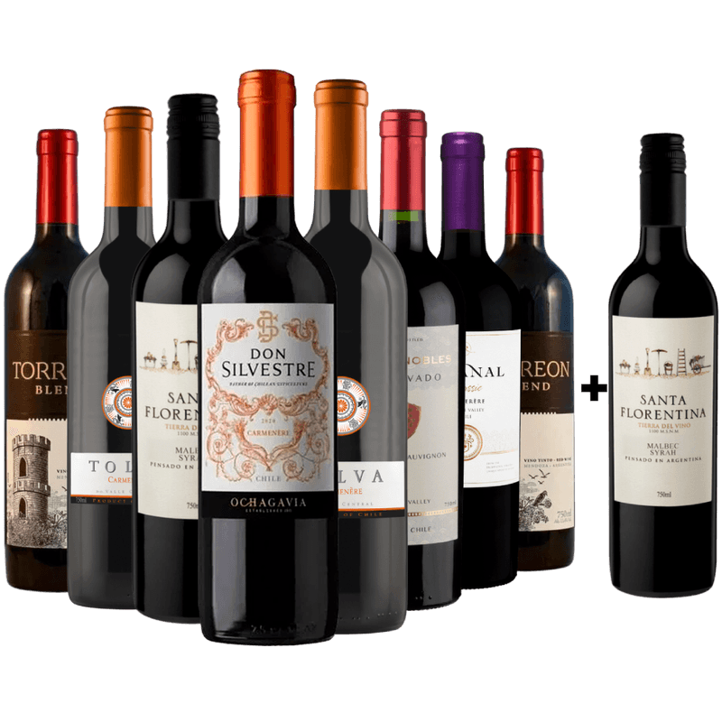 Kit 8 Vinhos Tintos + 1 Malbec Argentino Grátis
