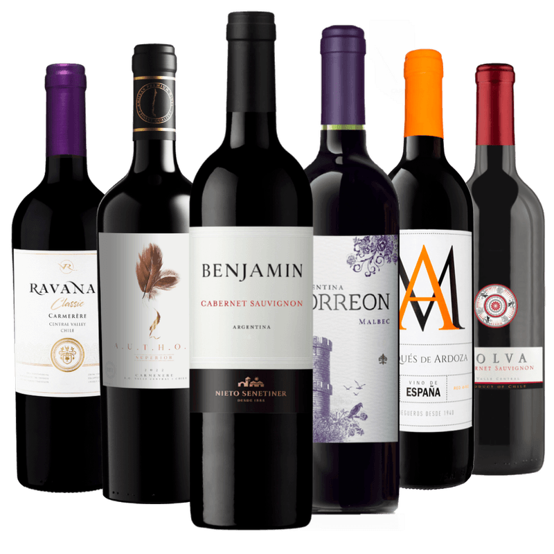Kit 6 Vinhos Tintos Essenciais