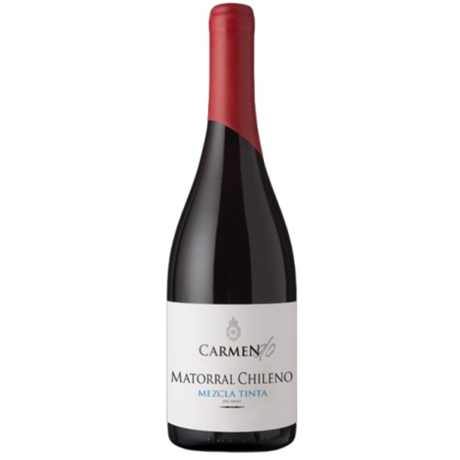 Carmen DO Matorral Chileno 2019